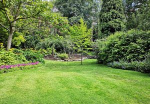 Optimiser l'expérience du jardin à Montigny-les-Monts